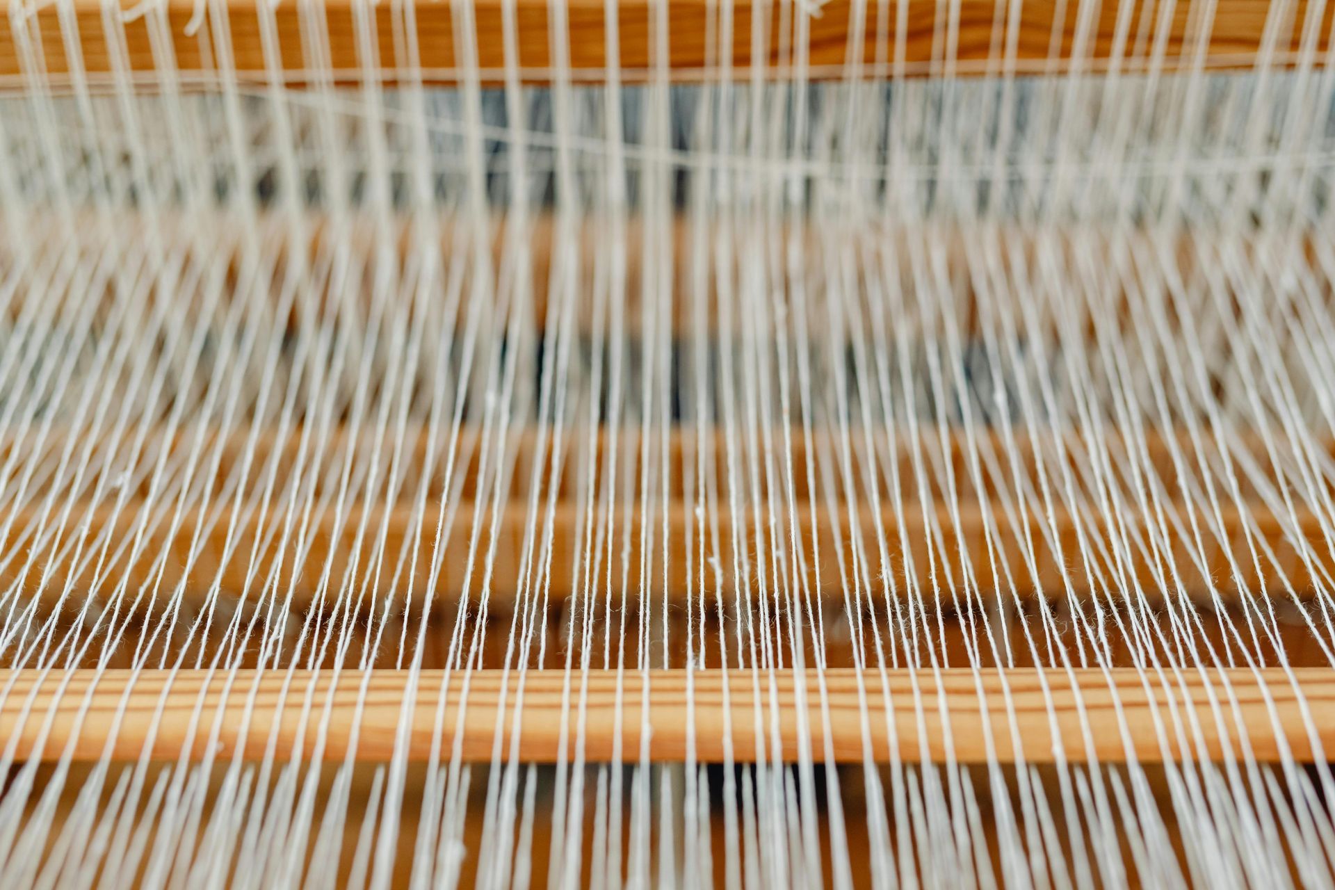 The warp thread of a loom