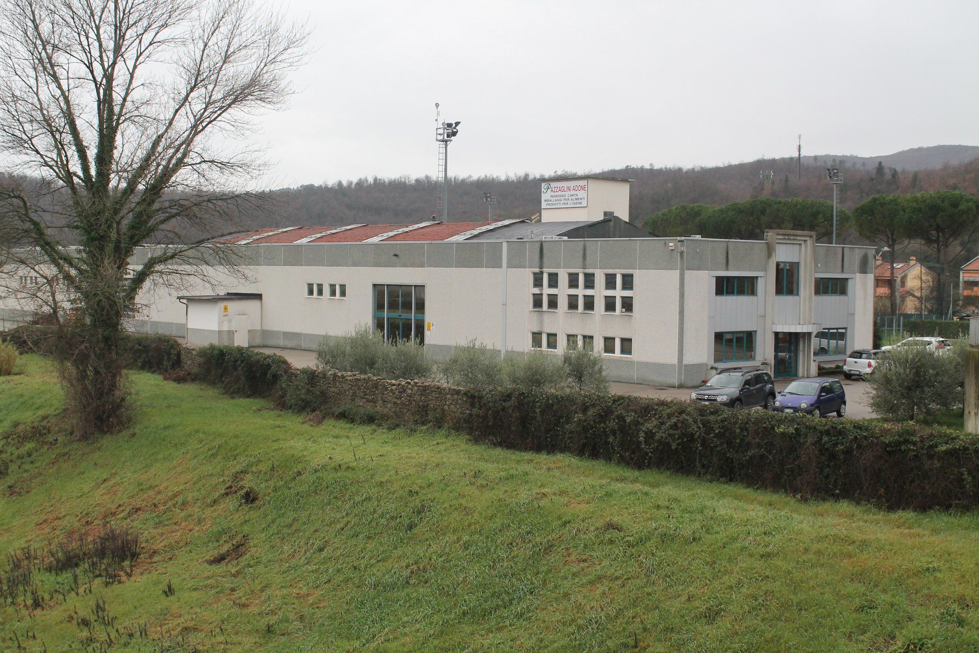 magazzino pazzaglini