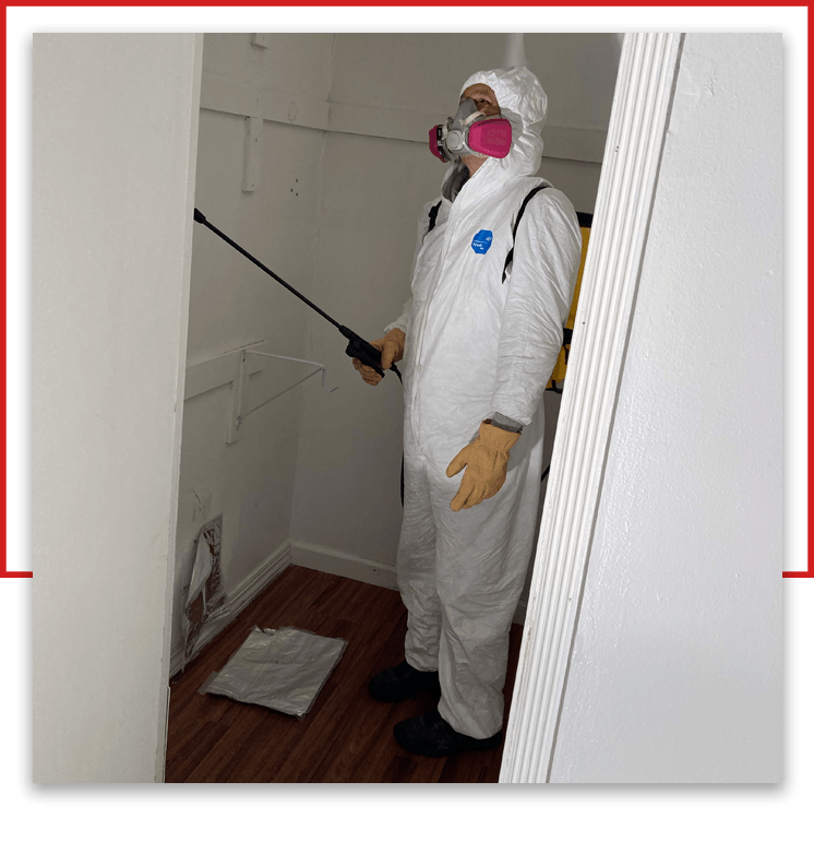 Mold Removal - Mold Consulting Specialists