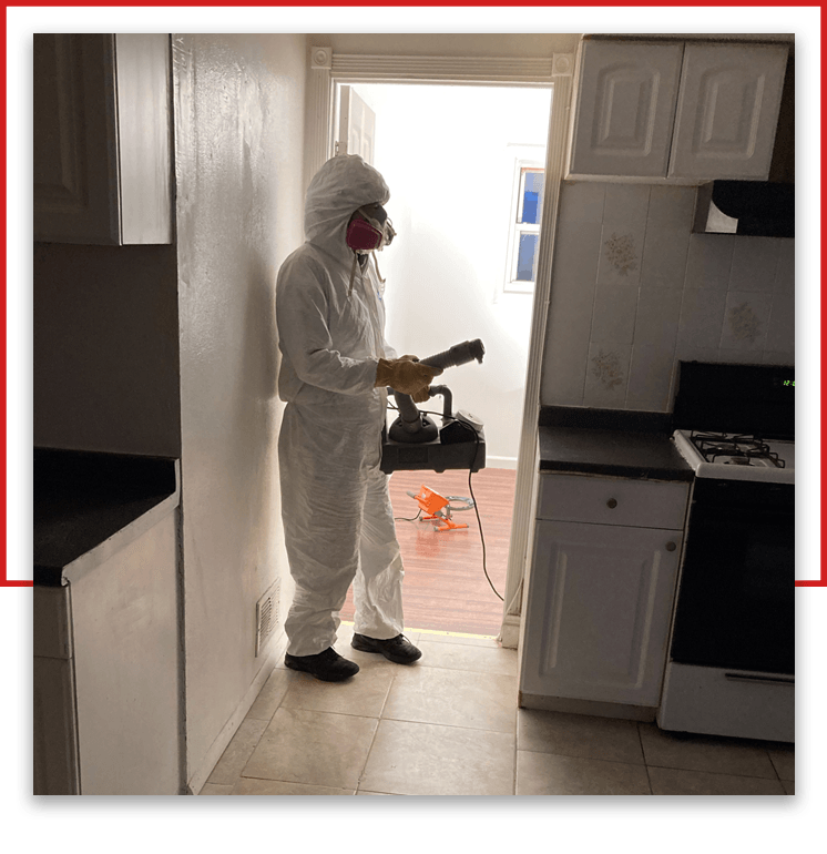 Mold Inspections - Mold Consulting Specialists