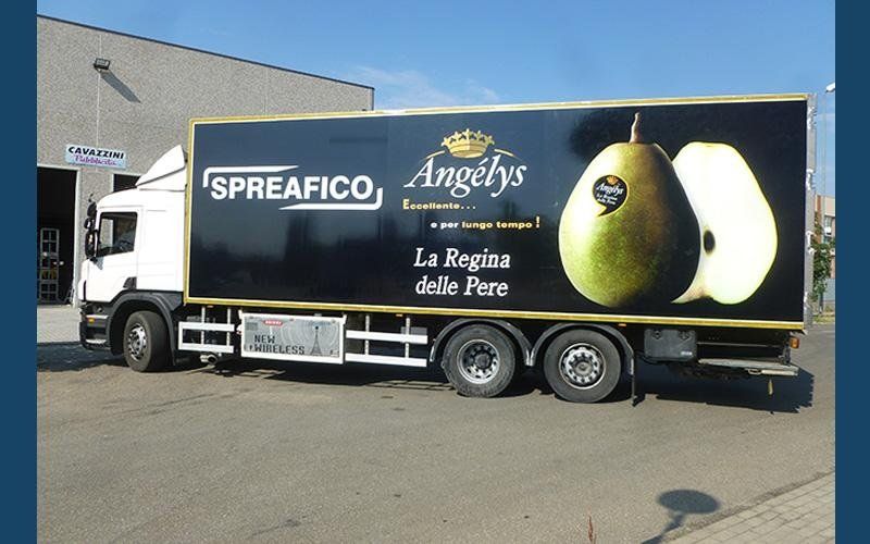 decorazione Spreafico