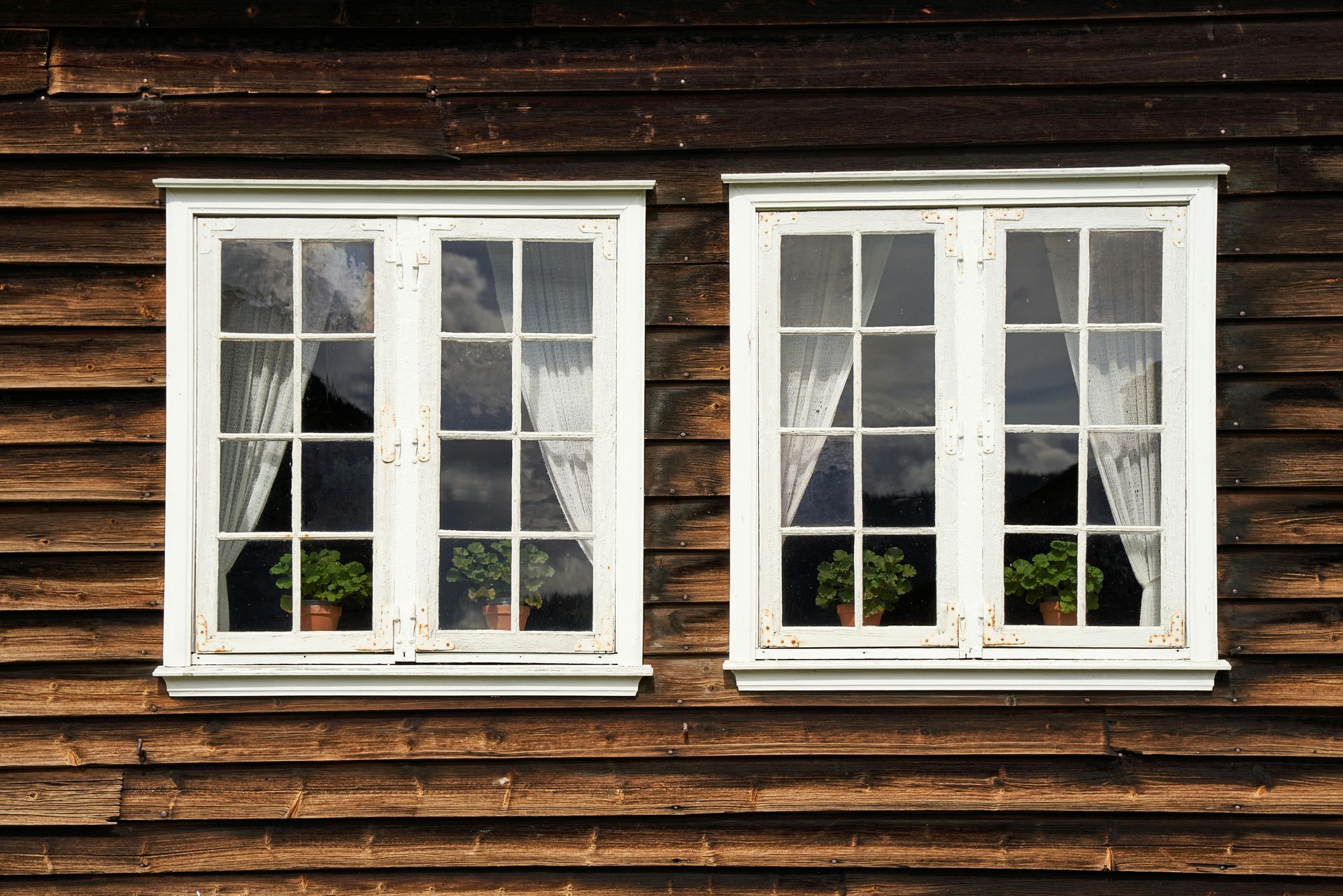 Two white-framed windows with panes, framed against a weathered brown wooden wall; sheer white curtains and small potted plants inside.