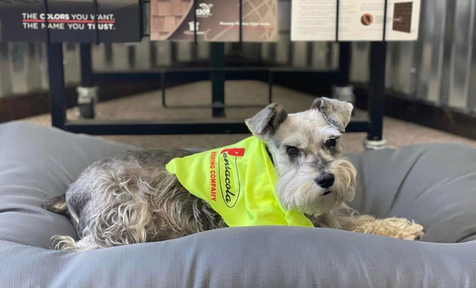 Pensacola Roofing 17