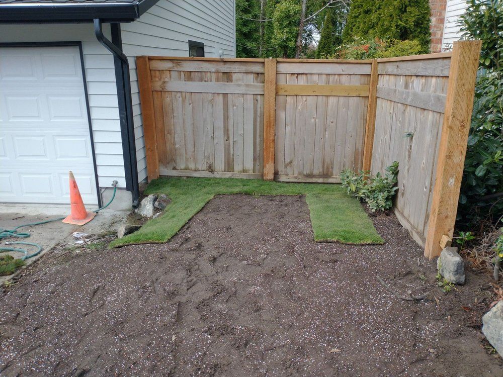 Newly laid sod in a small yard, bordered by a fence and garage. Brown soil, green grass.