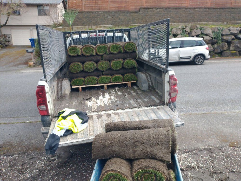 A pickup truck bed filled with rolled sod, ready for landscaping.