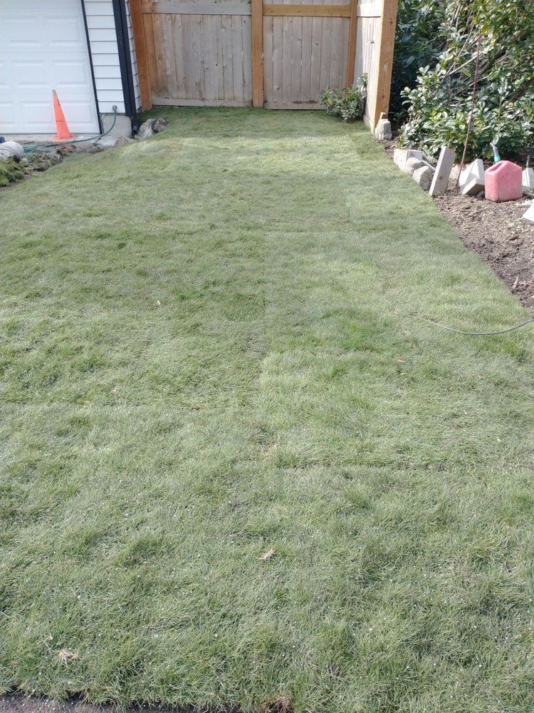 Green lawn leading to wooden gate; a garage and garden bed on the sides.