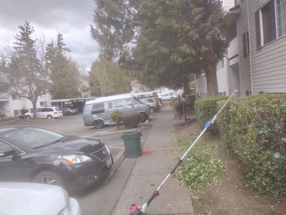 Person using a pole hedge trimmer on bushes next to a sidewalk in front of an apartment building, cars parked nearby.