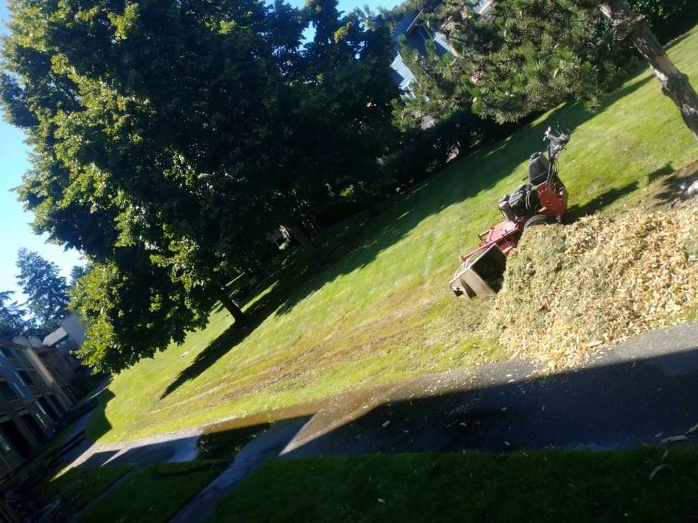A lawnmower on a grassy hill with a pile of wood chips and trees; sunny day.
