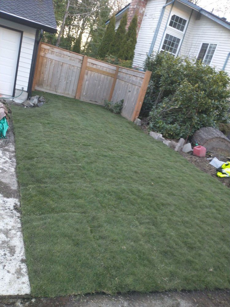 A newly sodded rectangular lawn in a backyard, with a wooden fence and a house in the background.