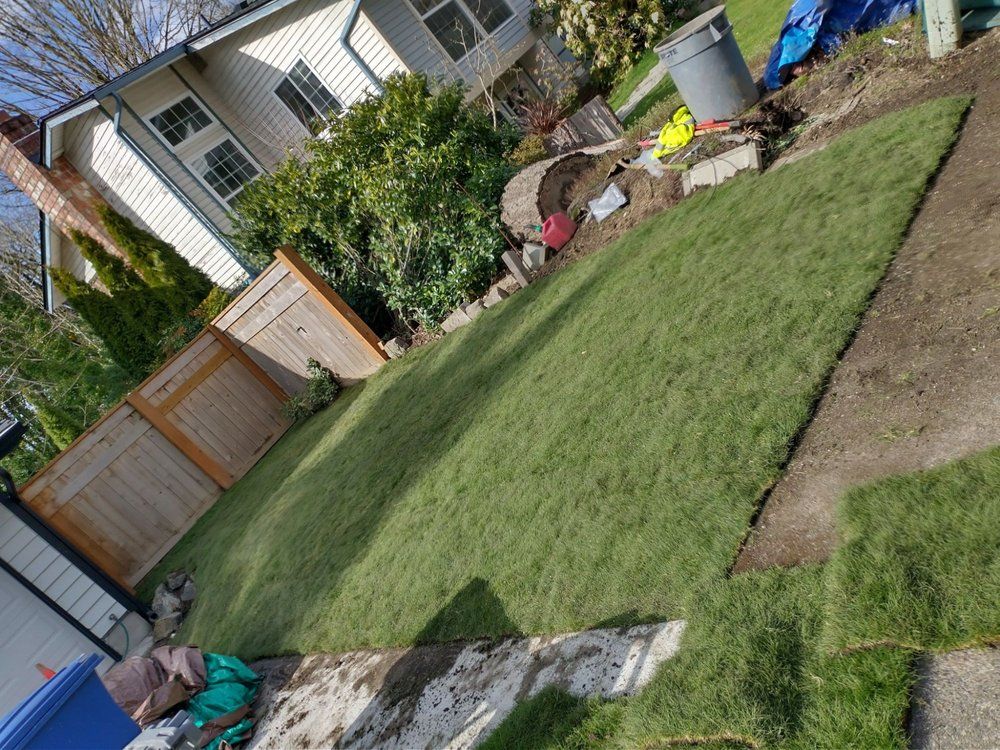 Freshly laid green sod in a backyard next to a house and a wooden fence.