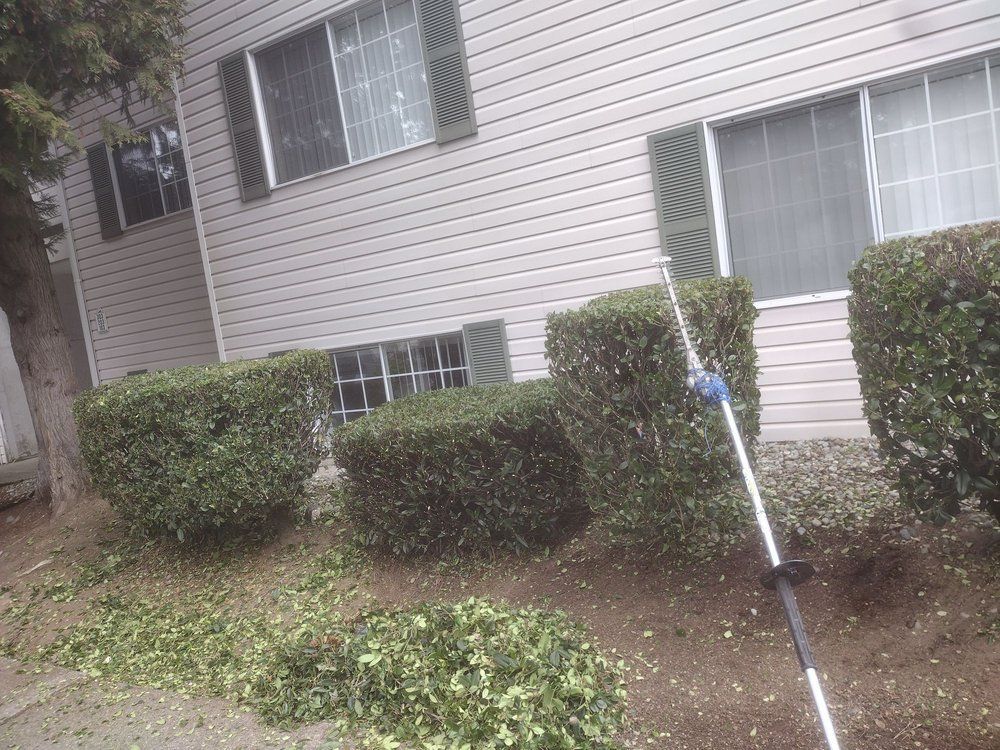Person trimming bushes in front of a light-colored apartment building with green shutters and windows.