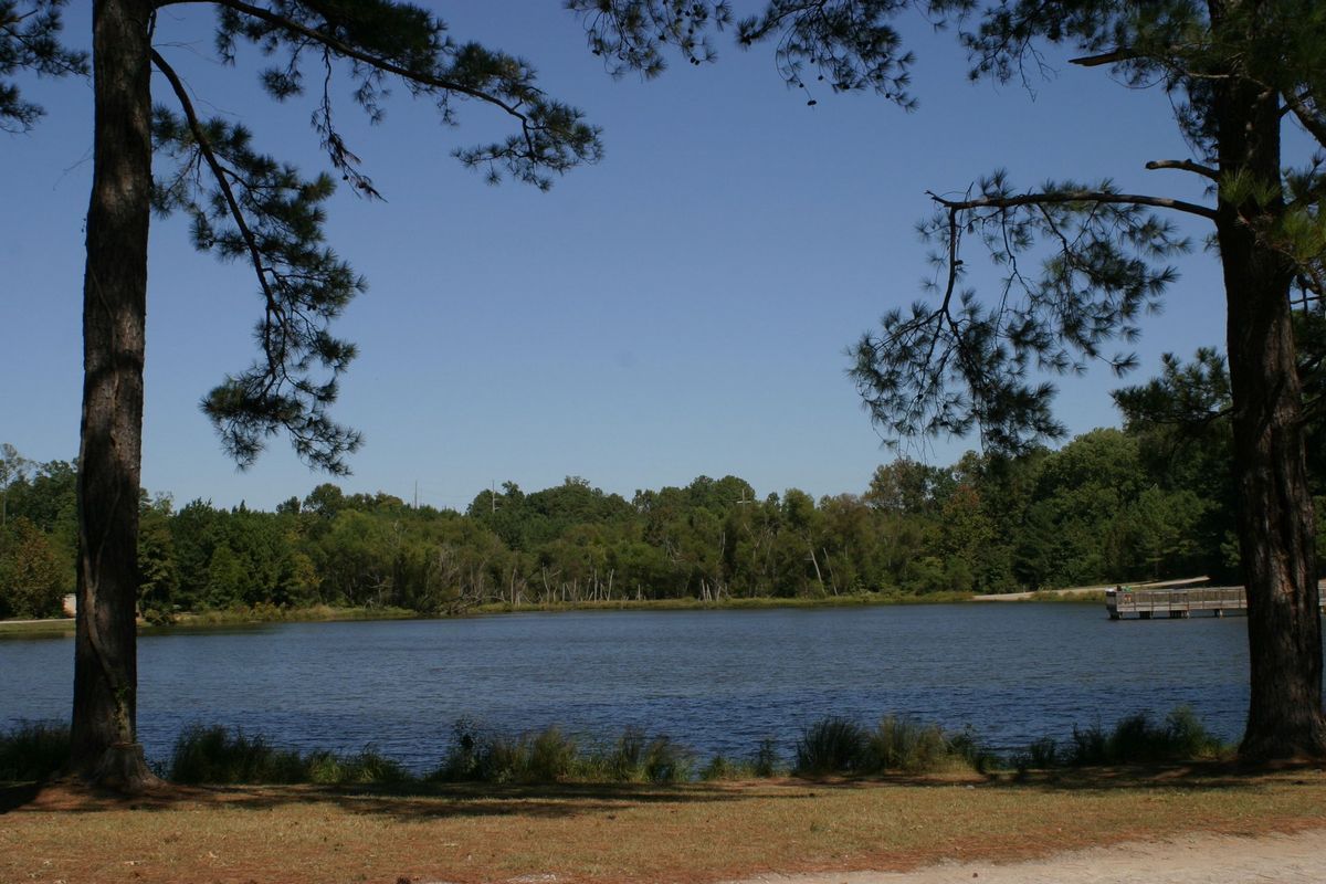 Lake scene framed by trees under a clear blue sky. Dark water with treeline on far shore.