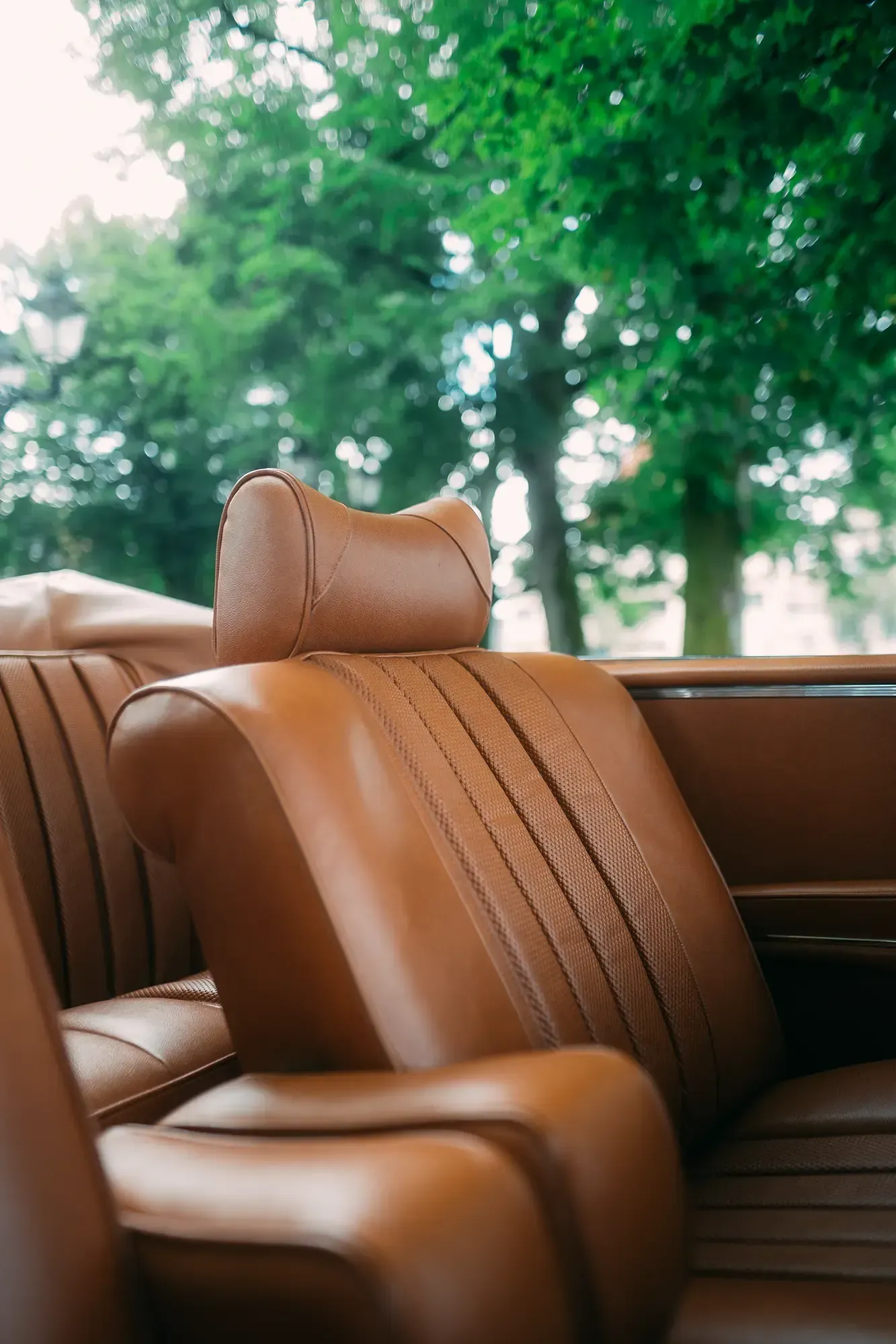 MERCEDES BENZ W11 CABRIOLET 280SE, Detail Ledersitze mit Sitzpfeifen