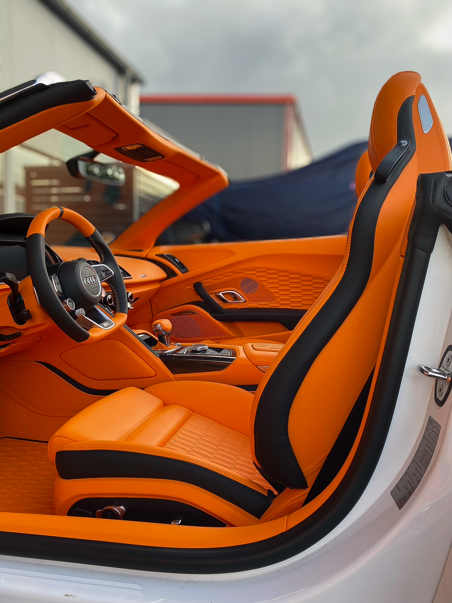 AUDI R8 SPYDER V10 PERFORMANCE, Veredelung