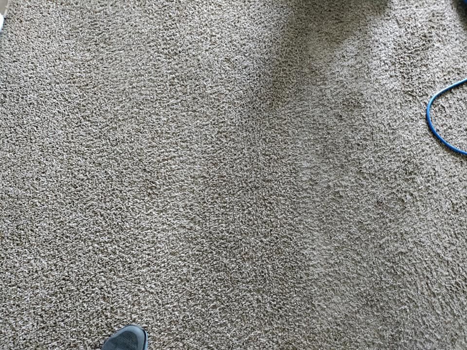 A person is standing on a carpet next to a blue hose.