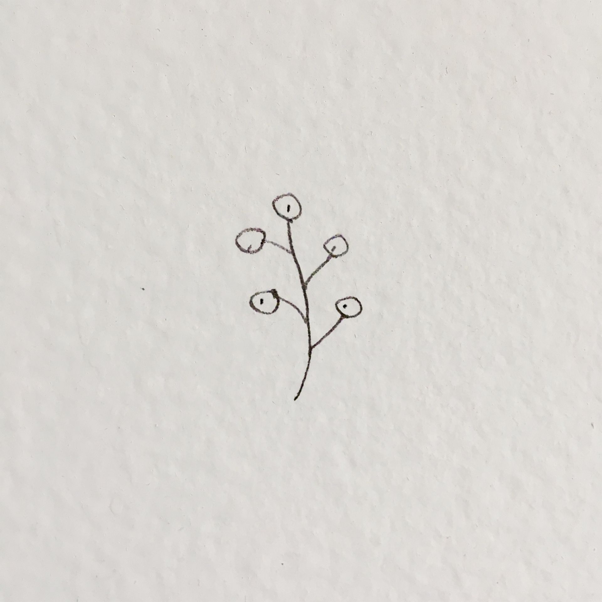 A small black and white drawing of a flower on a white background.