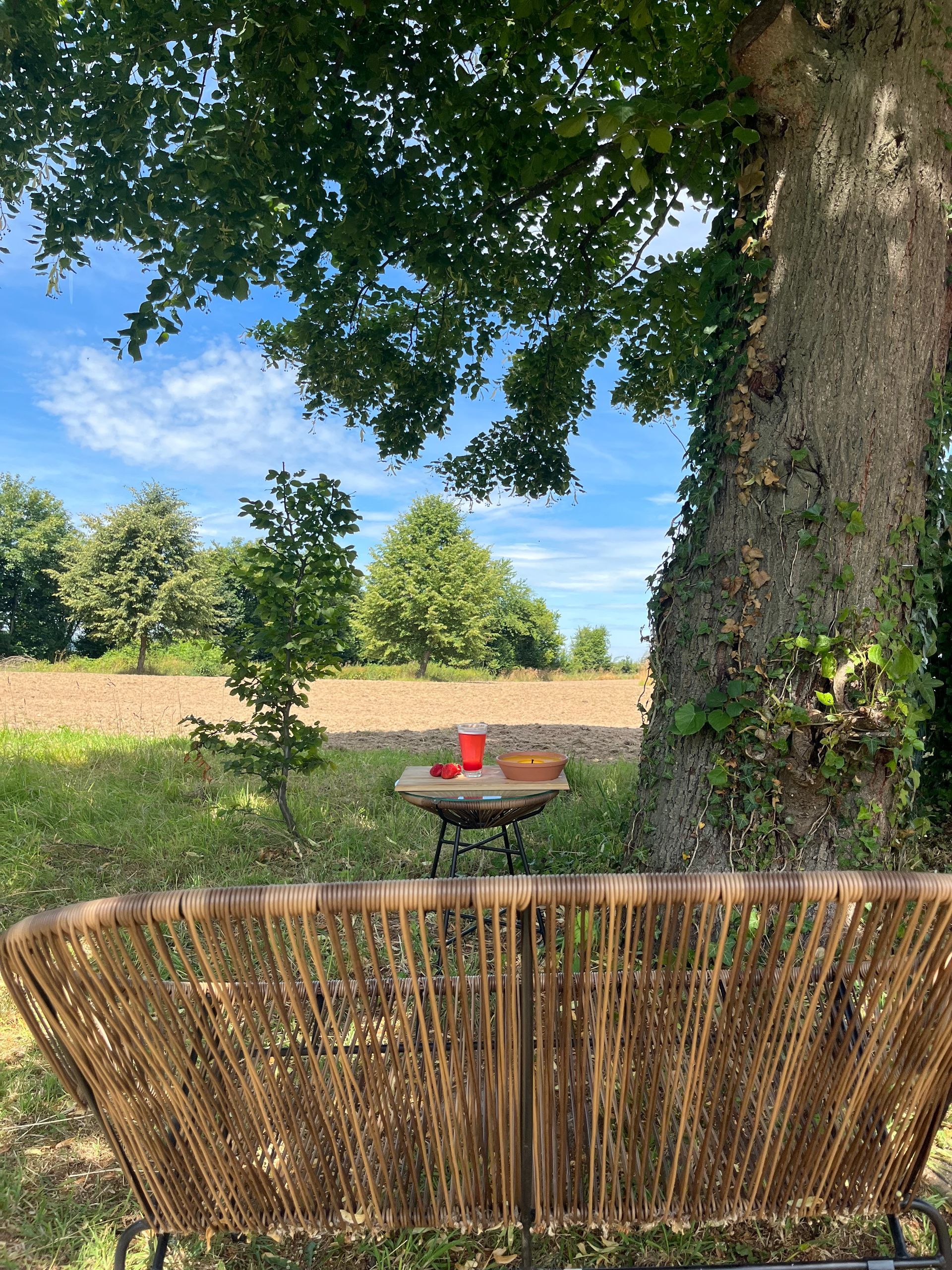 Een rieten bank tegenover een kleine barbecue en een rustieke boom in een veld, onder een bladerdak, met een blauwe hemel.