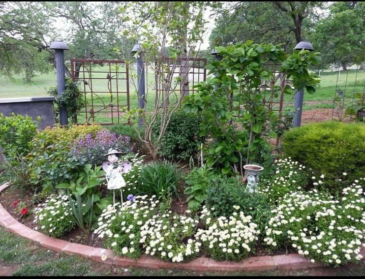 designed garden — Cordova, CA — Quality Landscape Inc. — Cordova, CA — Quality Landscape Inc.