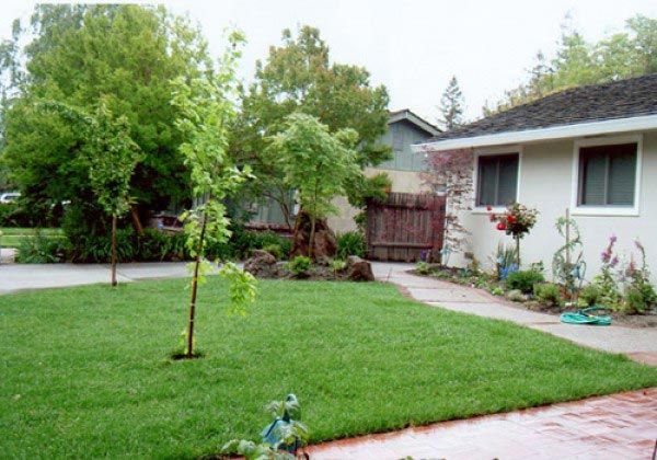 lawn  — Cordova, CA — Quality Landscape Inc. — Cordova, CA — Quality Landscape Inc.