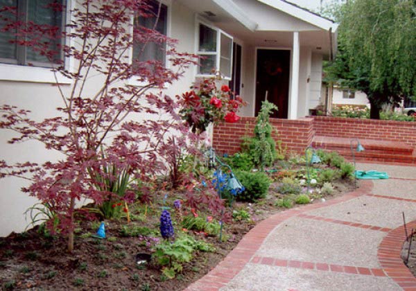 pathway garden — Cordova, CA — Quality Landscape Inc. — Cordova, CA — Quality Landscape Inc.