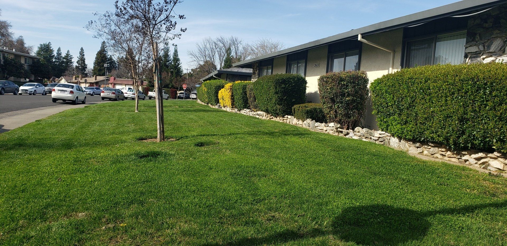 Apartment Landscape Maintenance — Cordova, CA — Quality Landscape Inc.