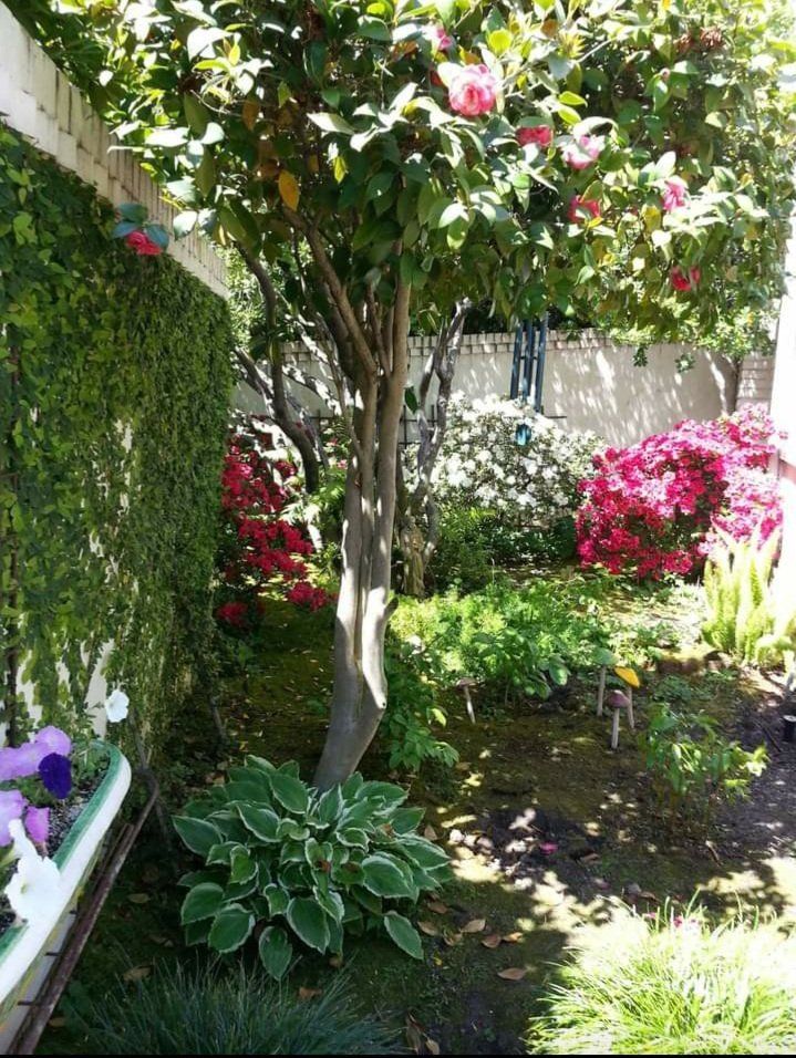 flowers and trees — Cordova, CA — Quality Landscape Inc. — Cordova, CA — Quality Landscape Inc.