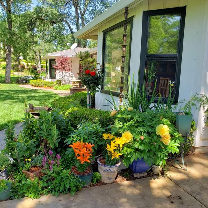 colorful flowers at front step — Cordova, CA — Quality Landscape Inc.
