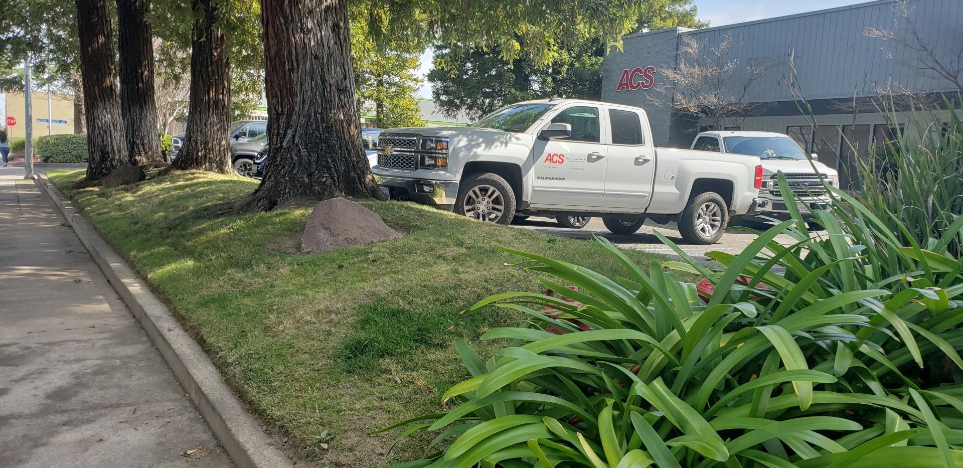 Industrial Maintenance Site  — Cordova, CA — Quality Landscape Inc.