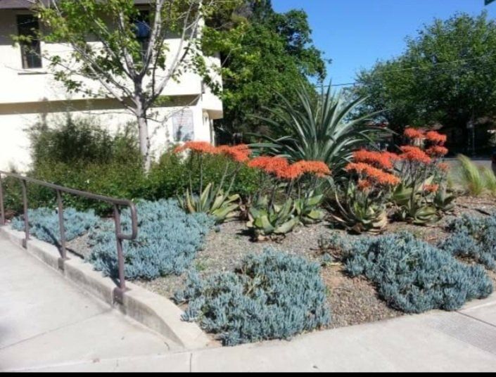 Landscape maintenance — Cordova, CA — Quality Landscape Inc.