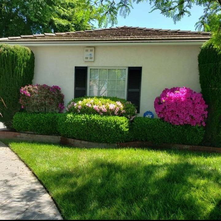 Residential Landscape Maintenance — Cordova, CA — Quality Landscape Inc.