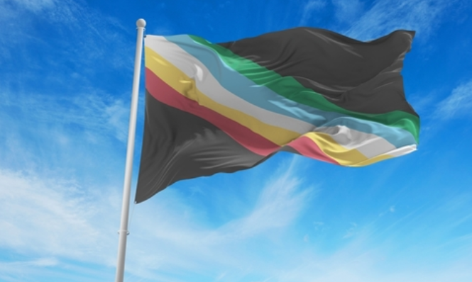 Disability Pride Flag