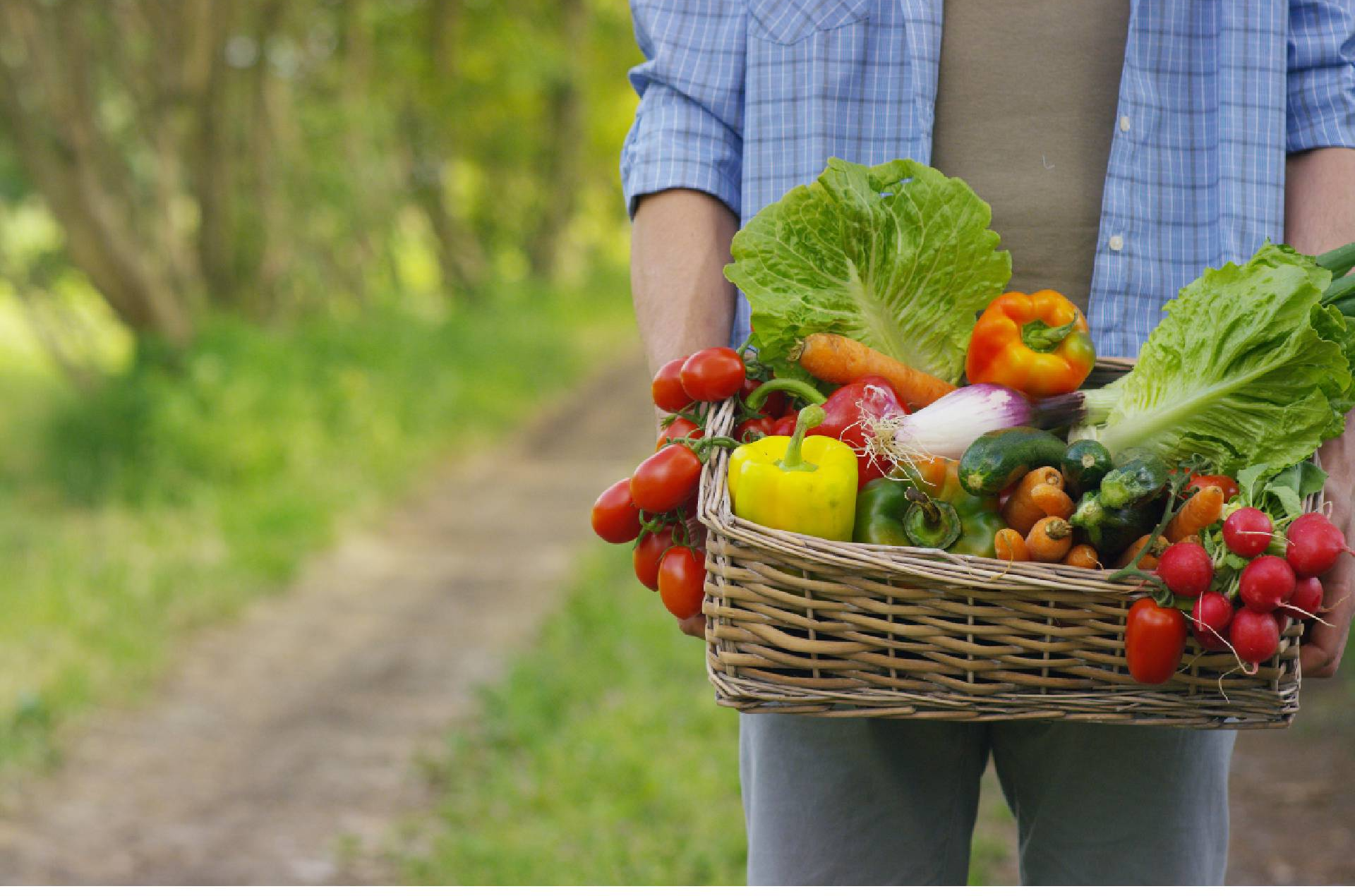 farmer holding in his hands wooden box with local vegetables