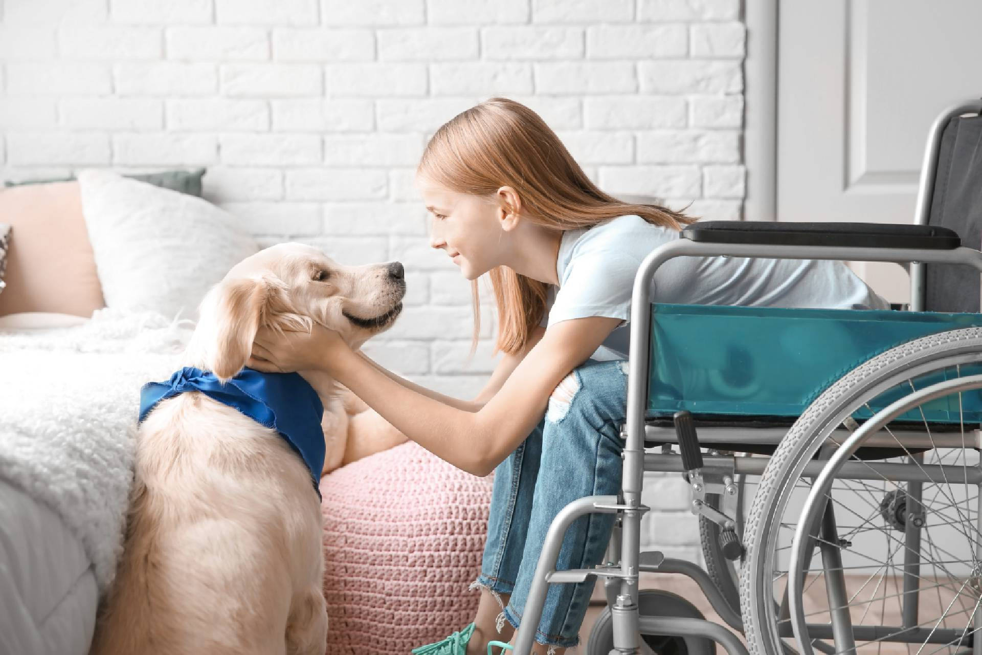 girl in wheelchair with service dog indoors