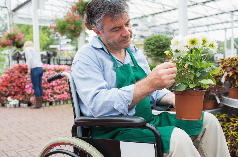 A senior man in wheel chair and with his leg disability is sitting on the seat of a vehicle designed for people with disability and grooming the plant in his garden