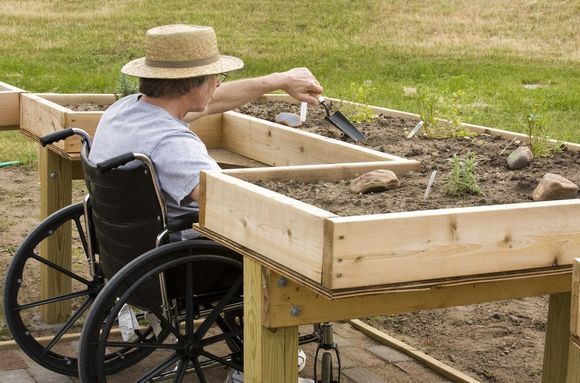 young disabled man in a wheelchair gardaning