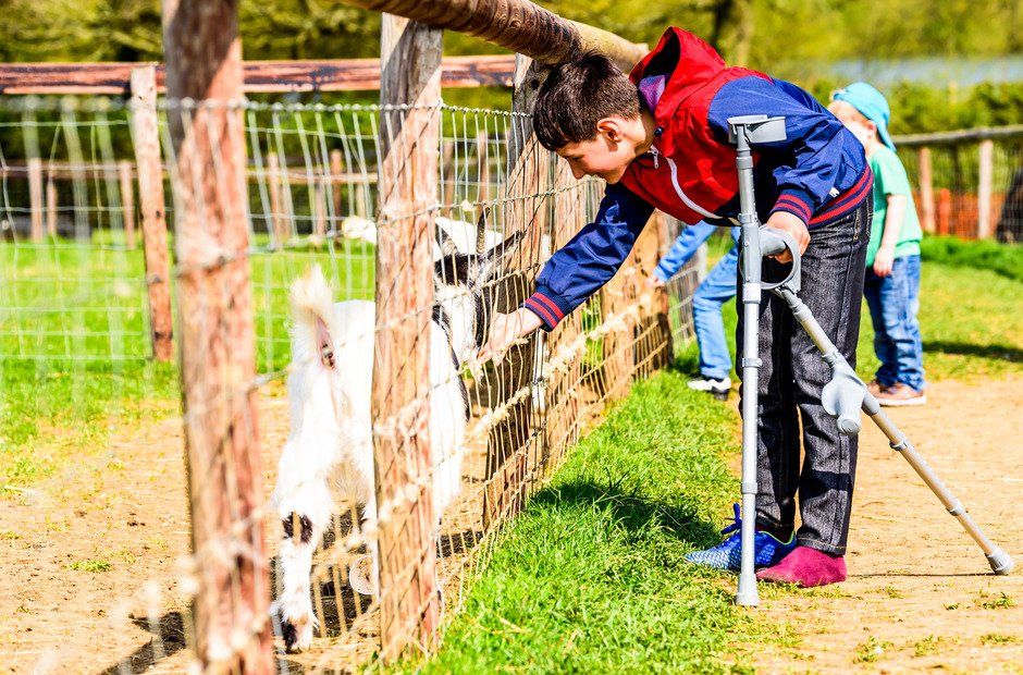 day view disabled boy on crutches feeding goat