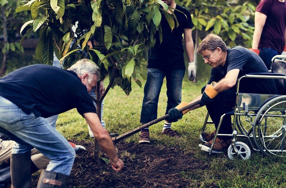 group of diverse people planting tree together