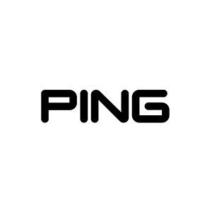 PING logo in bold black text on a white background.