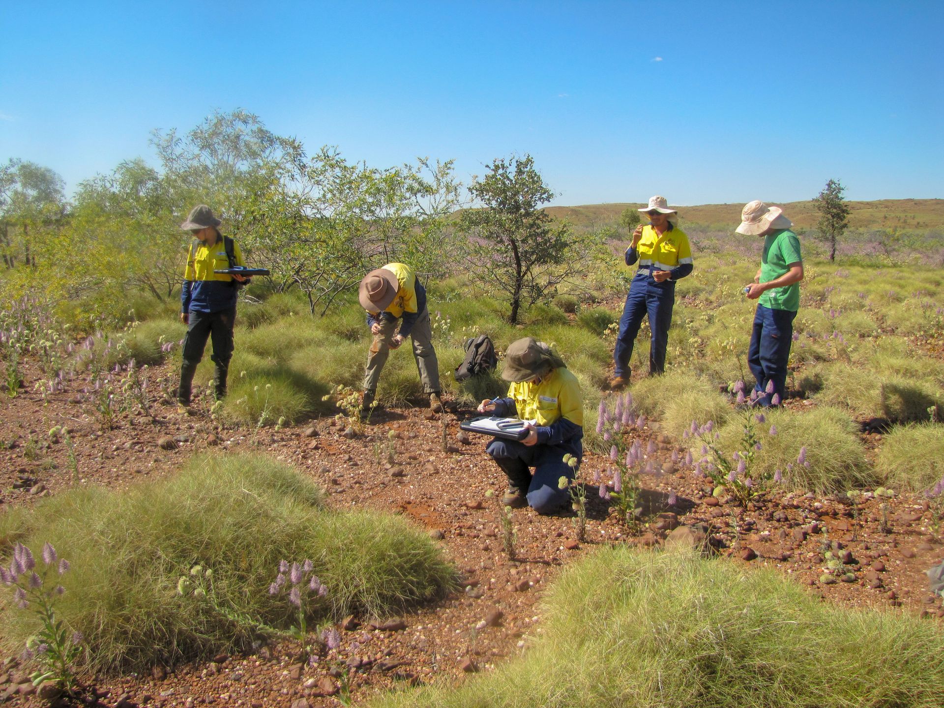 People cleaning area as part of Indigenous land management and environmental care