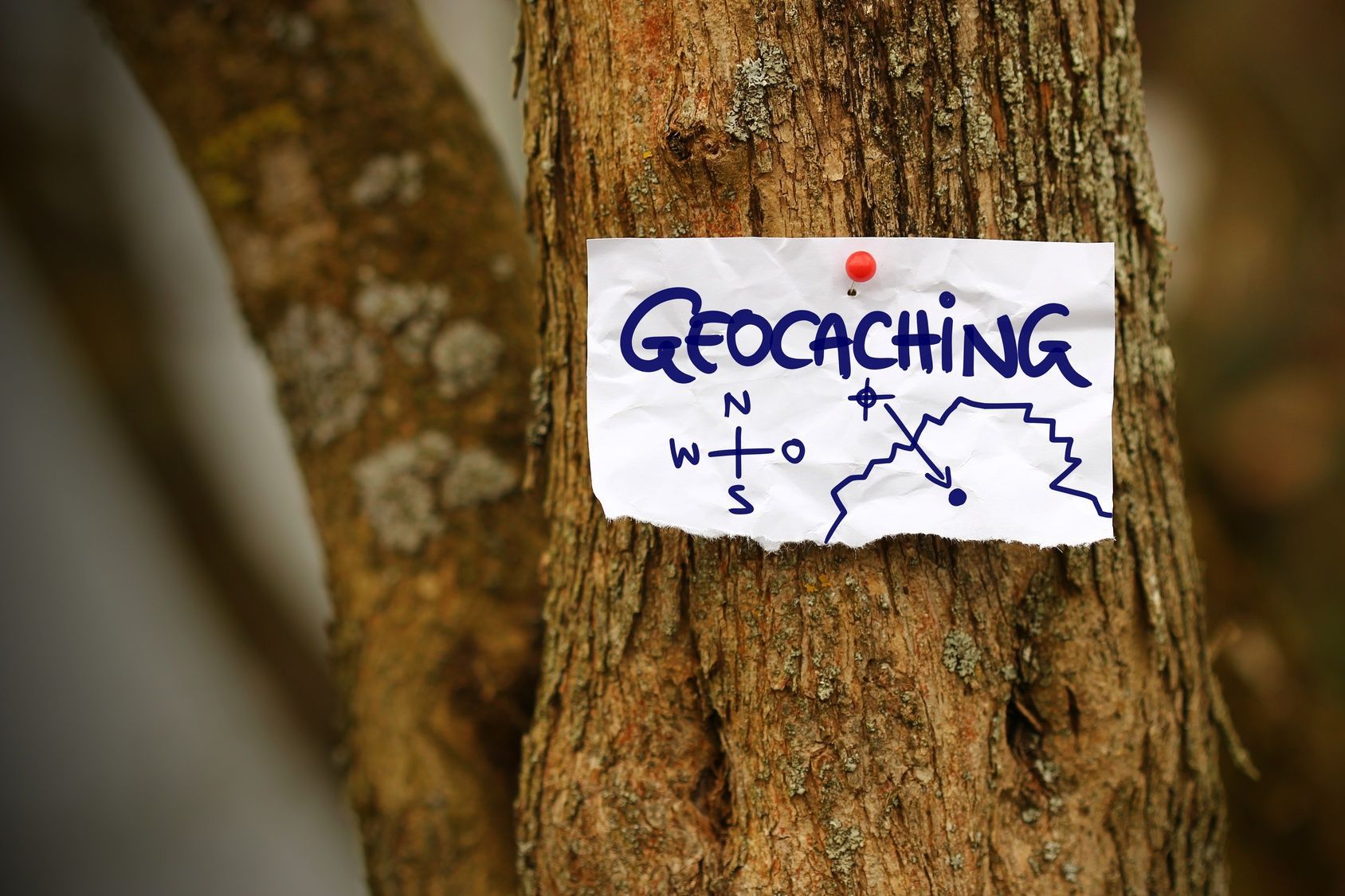Schild an einem Baumstamm mit der Aufschrift „Geocaching“ und darauf eingezeichnetem Kompass und Karte.