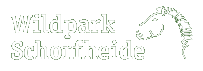 Link zum Wildpark Schorfheide Ein weißer Schriftzug Wildparkschorfheide und skizzierter Pferdekopf