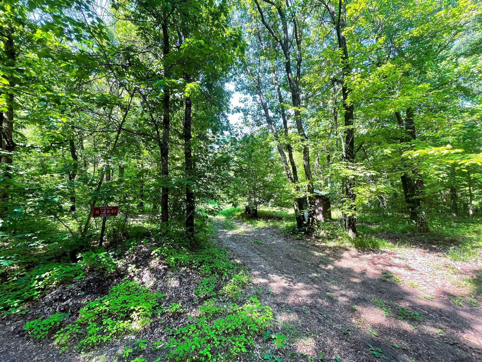 Dirt path through a green forest, leading to a lighter clearing. Sunlight filters through the trees.