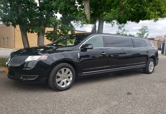 A black limousine is parked on the side of the road next to trees.