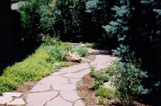 Stone pathway through a garden with green foliage and a blue spruce tree.