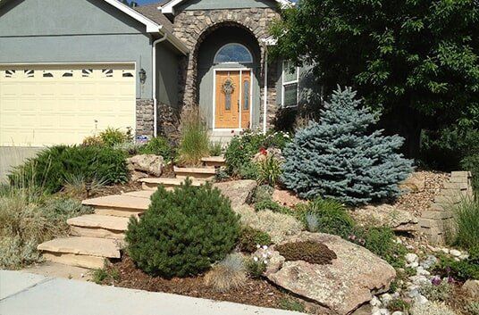 Stone steps lead to a home's entrance with a blue spruce and other greenery.