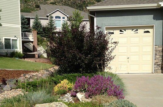 Residential landscaping with a dark-leafed bush, purple flowers, and a garage.