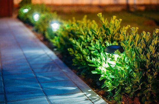 Solar lights illuminating a green hedge next to a paved walkway at night.