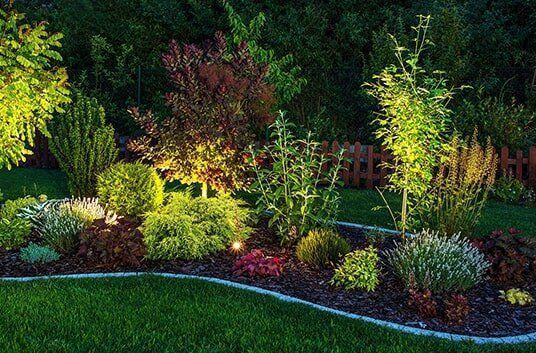 Illuminated garden bed with various shrubs and trees.