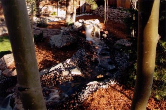 Water cascading down rocks in a garden, viewed between tree trunks; brown mulch.