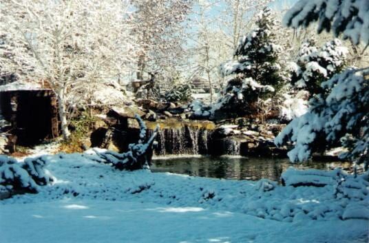 Snow-covered park with a waterfall and pond. Trees and bushes are blanketed in white.